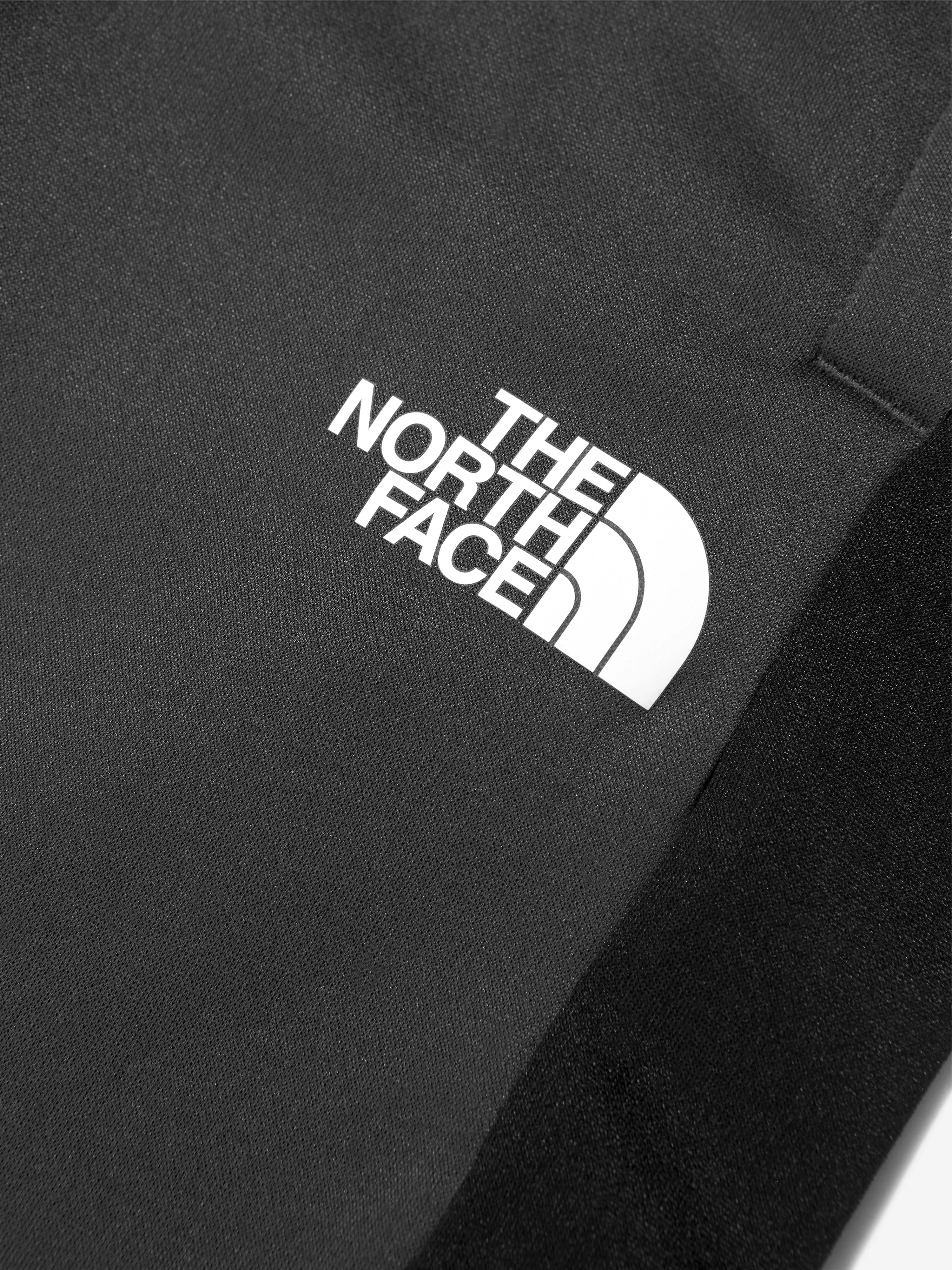 The North Face Boys Surgent Logo Shorts